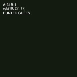 #131B11 - Hunter Green Color Image
